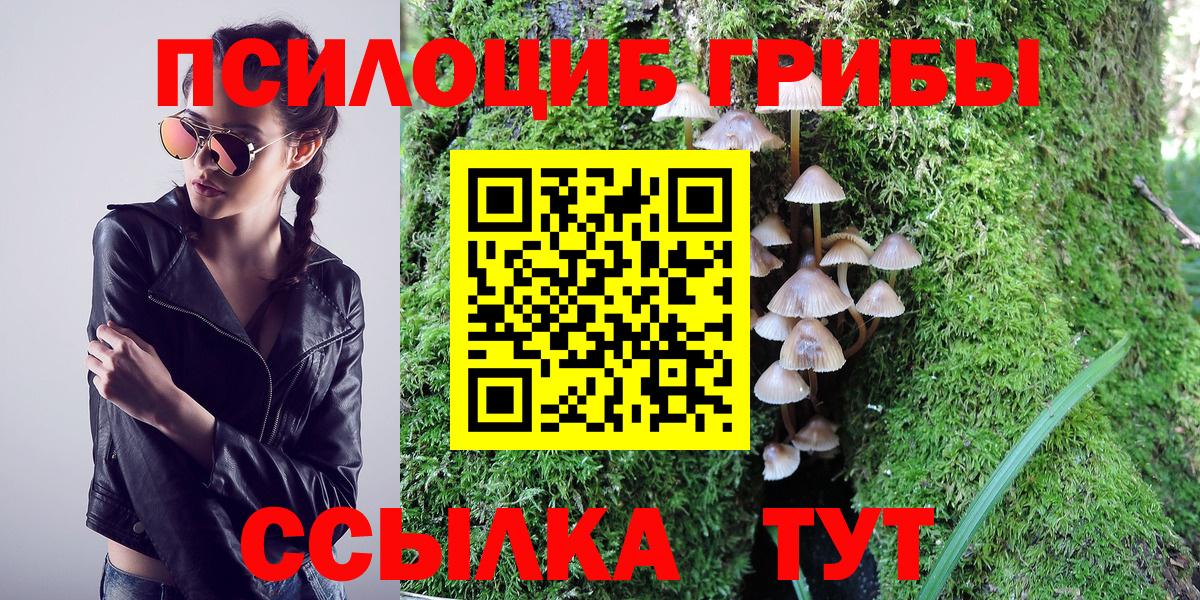 Волжский  продажа наркотиков  Вход с VPN  Галлюциногенные грибы Psilocybe 