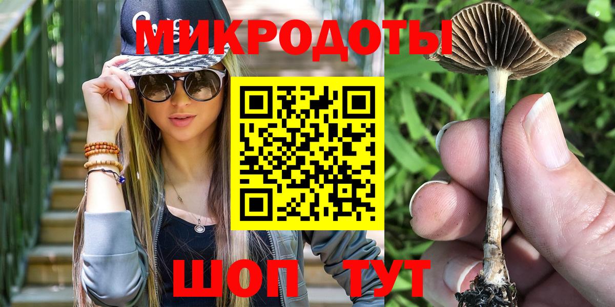 Псилоцибиновые грибы Psilocybine cubensis Волжский